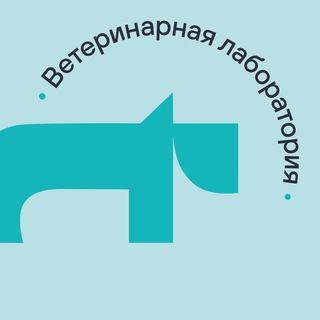 ВЕБИНАРЫ VET UNION