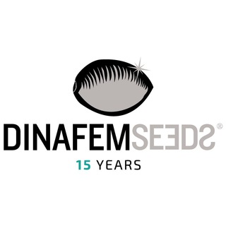 DINAFEM