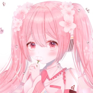 RAIS WB /ТОВАРЫ С WILDBERRIЕS/ ПРИКОЛЬНЫЕ ВЕЩИ С WB