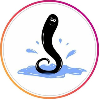 ТАРО И МАГИЯ В МИРЕ ВОКРУГ НАС С СОФИЕЙ ВЮРСТЛИН