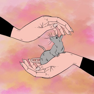 ГОРЯЧАЯ ЛИНИЯ 