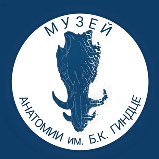 ANATOMY_MUZ  МУЗЕЙ АНАТОМИИ