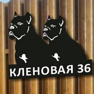 С СОБАКОЙ НА МОРЕ ОТДЫХ
