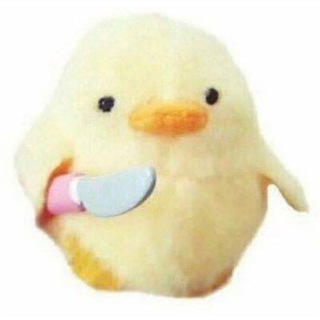 МЯТЕЖНЫЕ КОТЯТА