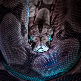 В ПОДЗЕМЕЛЬЯХ СЕГОДНЯ ЖАРКО