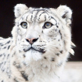 САЙЛЮГЕМСКИЙ НАЦПАРК