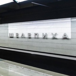 ШЕЛЕПИХА СОСЕДИ