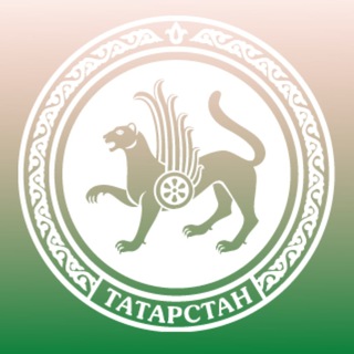 МИНОБРНАУКИ РТ