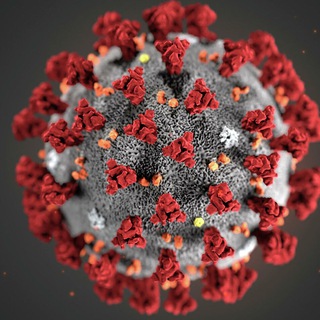 СПБ. МОНИТОРИМ ЗАПИСЬ НА ВАКЦИНУ