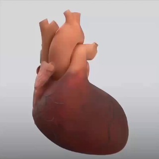 HEALTH AND FITNESS™