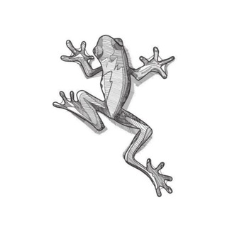 ZELENKA STUDIO | ЛАНДШАФТНЫЙ ДИЗАЙН | АРХИТЕКТУРА