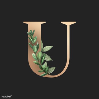 UNIVERSITET | ЛИДЕРСТВА