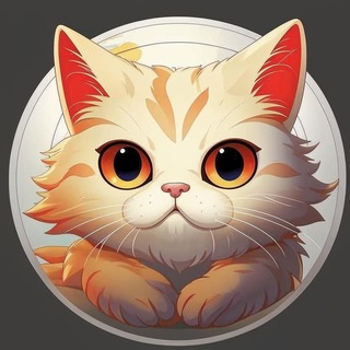 КРУГЛЫЙ КОТ