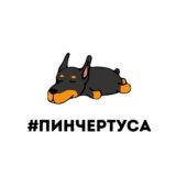 ПИНЧЕРТУСА