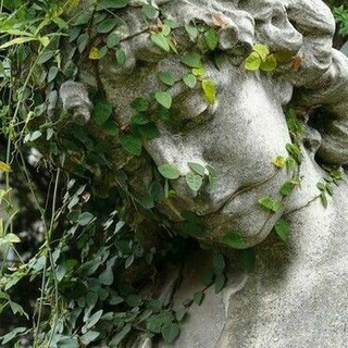 АРХИВ СЕРОГО САДА