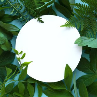 ЧТО ТАМ С ЭКОЛОГИЕЙ?