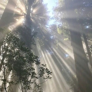 SOME SUNNY DAY