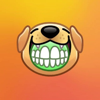 МАЛЬТИПУ / MALTIPOO ПРОВЕРЕННЫЙ ЗАВОДЧИК.