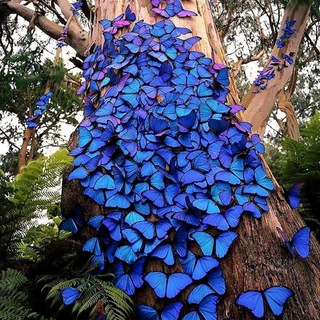 LINGERIE SHOP ЖЕНСКОЕ БЕЛЬЕ И ТЕКСТИЛЬ.СОТРУДНИЧАЕМ С ФАБРИКАМИ КИТАЯ