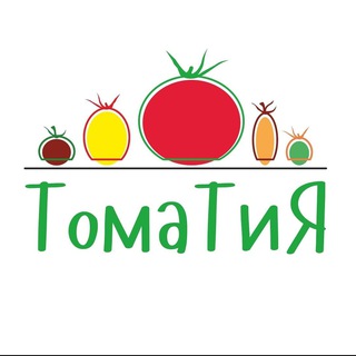 СЕМЕНА ТОМАТИЯ