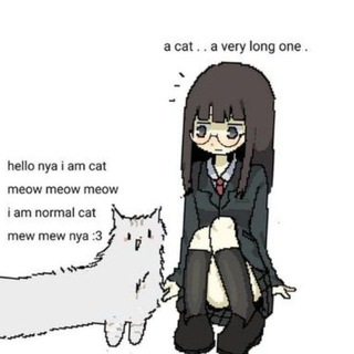 КОТЫРКА ЧИПЫРКА