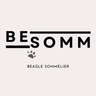 BEAGLE SOMMELIER | ВИНО И БИГЛЬ