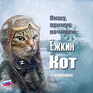 ЁЖКИН КОТ  Z