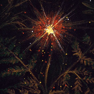 ЦВЕТОК ПАПОРОТНИКА