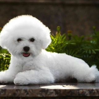 ЛЮБИМАЯ УСАДЬБА.