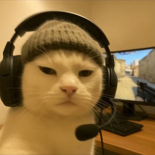 ЛОГОВО ВНИЗУ