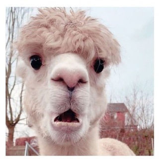 ХОЗЯЙКАМ НА ЗАМЕТКУ | ЖЕНСКИЕ ЛАЙФХАКИ