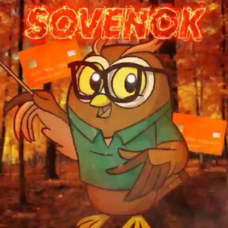 NEWS ПЯТЁРОЧКИ СОВЁНКА 