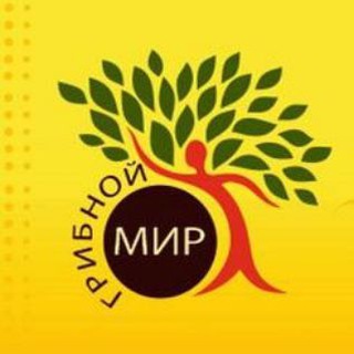 ГРИБНОЙ МИР | МУХОМОР |ЕЖОВИК | КОРДИЦЕПС | ВЕСЁЛКА |