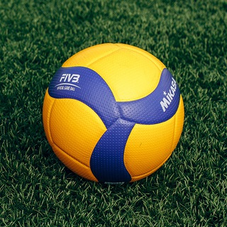 ВОЛЕЙБОЛЬНЫЕ МЯЧИ | ЕГОР ПУПЫНИН