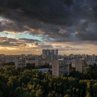 МОСКОВСКОЕ ДОЛГОЛЕТИЕ