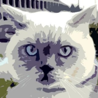 МУРКОТИКИ: ВСЁ О КОШКАХ