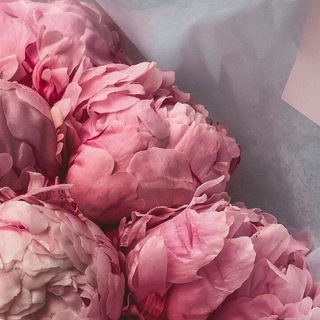 ХРОНИКИ ПОТРЕБЛЯТСТВА