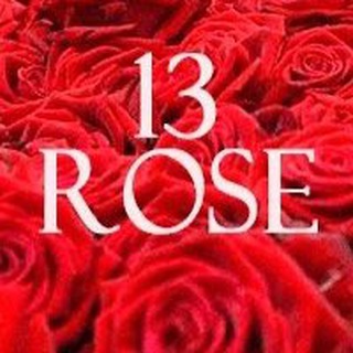 13 ROSE ЦВЕТЫ САРАНСК