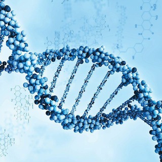 ЕЛЕНА МЕНЬШЕНИНА CHAT