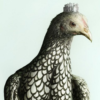 КО-КО-КО (ФЭШН / СТИЛЬ / МОДА)