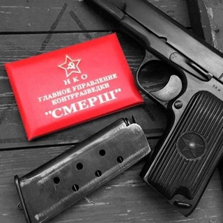 ЧАТ КАНАЛА #АЛАНМАМИЕВ