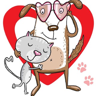 ПОМОЩЬ БЕЗДОМНЫМ ЖИВОТНЫМ  СЕРДЦЕМ К СЕРДЦУ