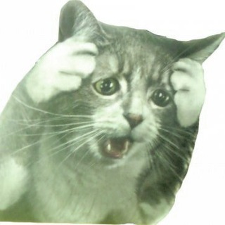 ВСРАТАЯ ЖИВНОСТЬ