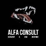 ALFA CONSULT