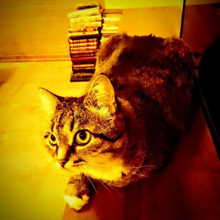 ОТЛИЧНЫЕ ГОРОСКОПЫ