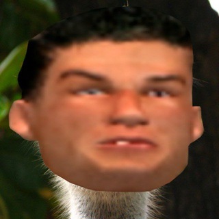 СТРАУСИНАЯ ФЕРМА