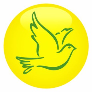 КЛУБ ДОБРО МОСКОВСКОЕ ДОЛГОЛЕТИЕ НОВОСТИ / НОВЫЕ ГРУППЫ