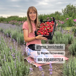 FERMA_LESNICHENKO