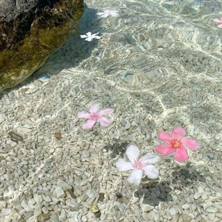 GIRLZZZ HOME BY LIZA