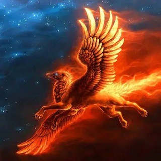 ЗВЁЗДНЫЙ КАНАЛ